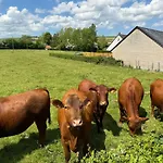 Des Prairies Du Val * Merck-Saint-Lievin