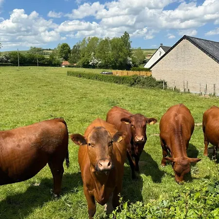 Des Prairies Du Val * Merck-Saint-Lievin
